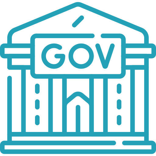 government (1)